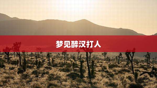 梦见醉汉打人