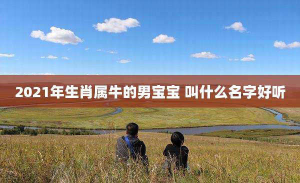 2021年生肖属牛的男宝宝 叫什么名字好听