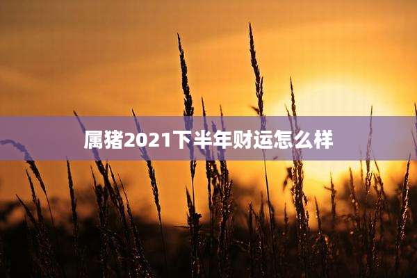 属猪2021下半年财运怎么样