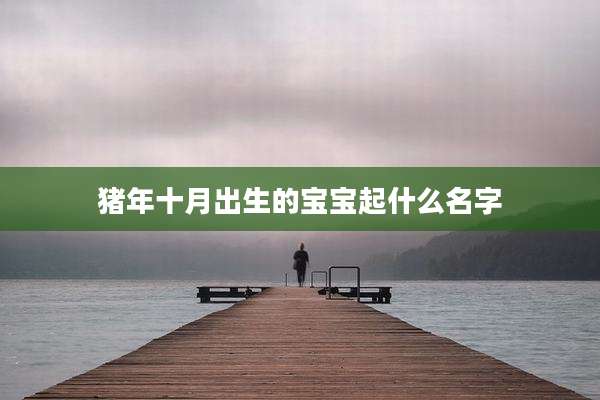 猪年十月出生的宝宝起什么名字