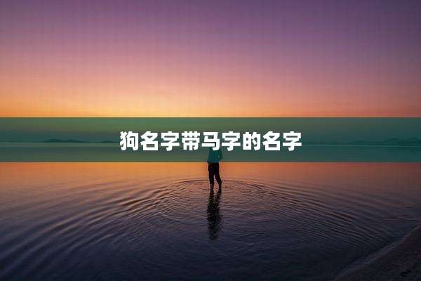 狗名字带马字的名字
