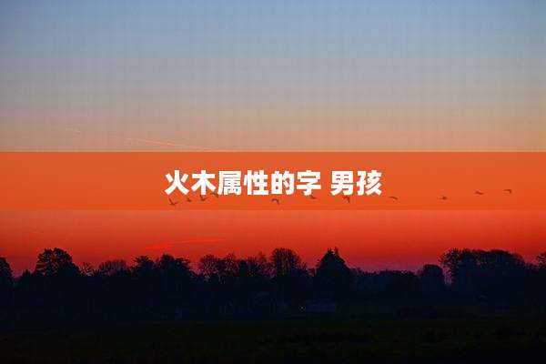 火木属性的字 男孩