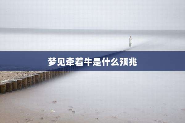 梦见牵着牛是什么预兆