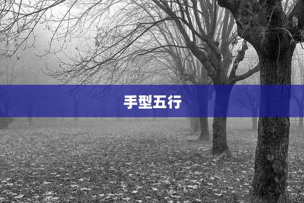 手型五行