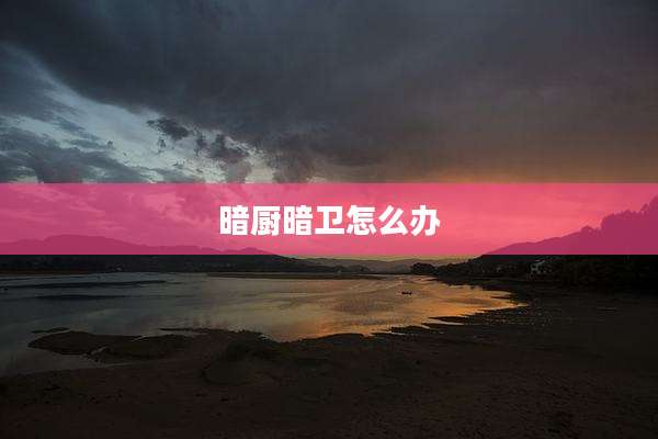 暗厨暗卫怎么办