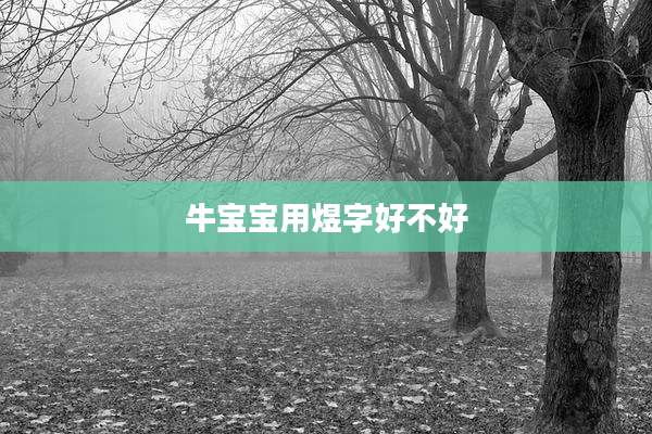 牛宝宝用煜字好不好