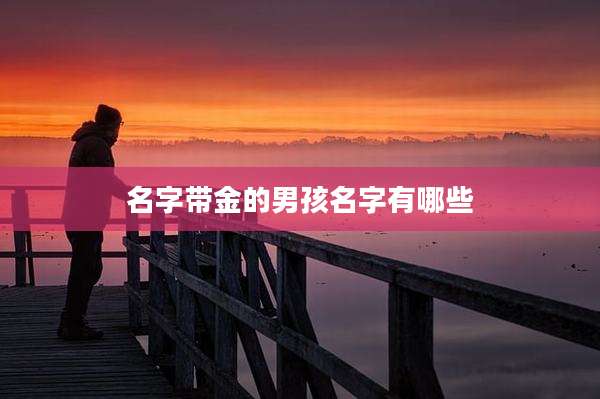 名字带金的男孩名字有哪些