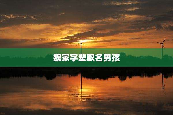 魏家字辈取名男孩