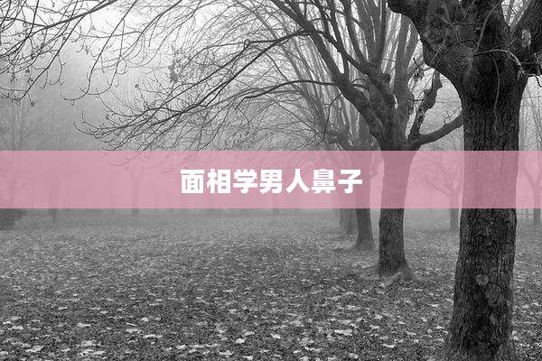 面相学男人鼻子