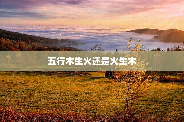 五行木生火还是火生木