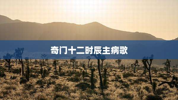 奇门十二时辰主病歌