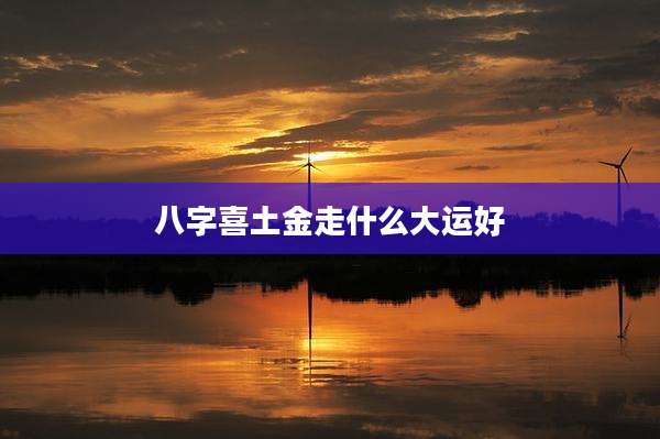 八字喜土金走什么大运好