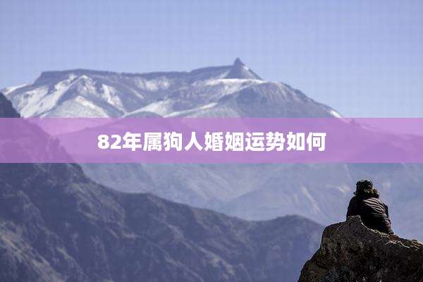 82年属狗人婚姻运势如何