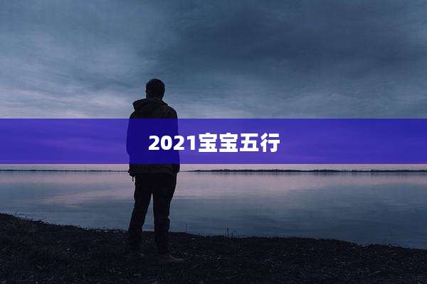 2021宝宝五行