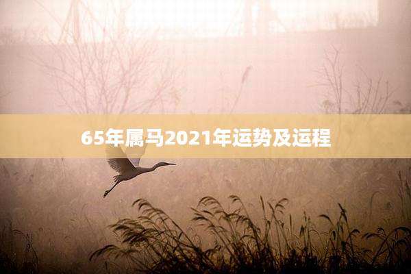 65年属马2021年运势及运程