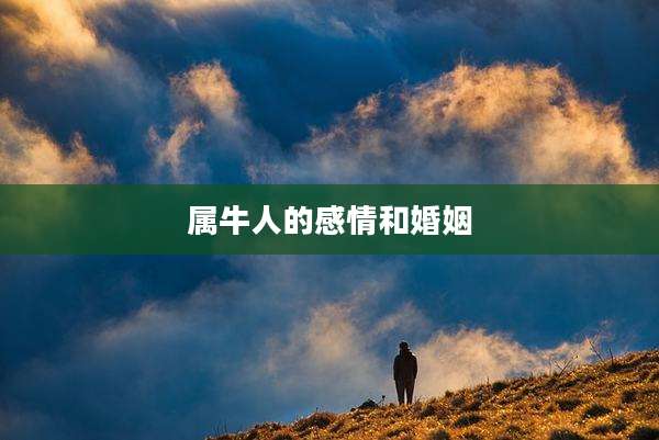 属牛人的感情和婚姻