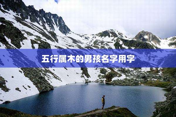 五行属木的男孩名字用字