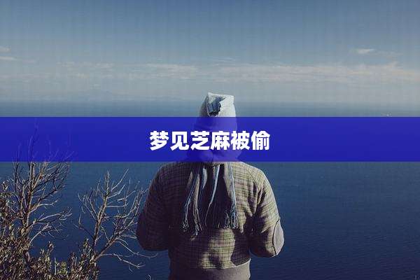 梦见芝麻被偷