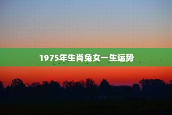 1975年生肖兔女一生运势