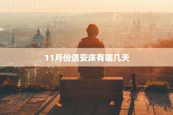 11月份适安床有哪几天