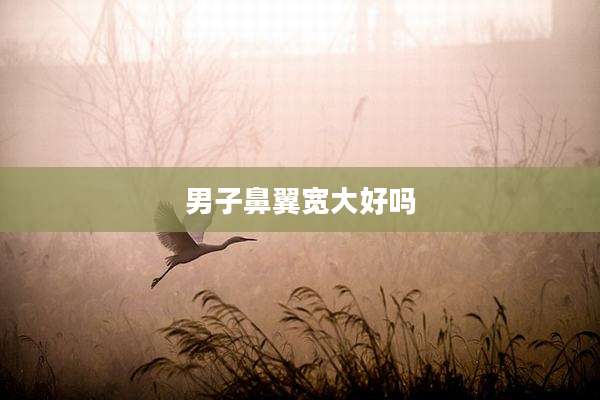 男子鼻翼宽大好吗