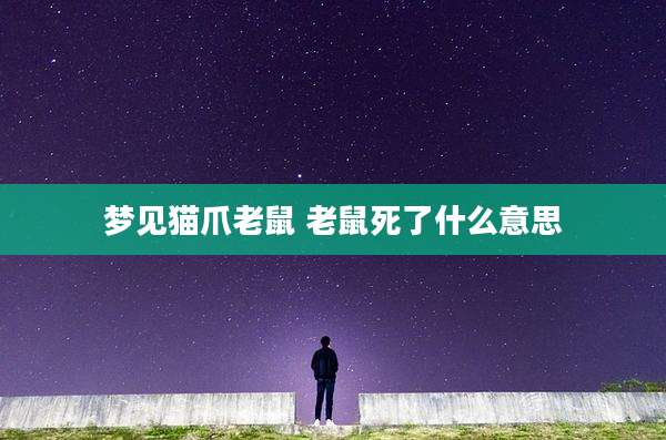 梦见猫爪老鼠 老鼠死了什么意思
