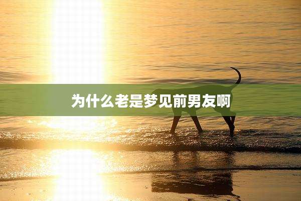 为什么老是梦见前男友啊