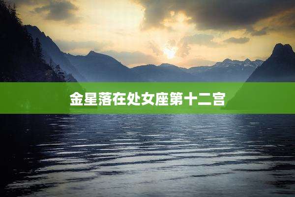 金星落在处女座第十二宫