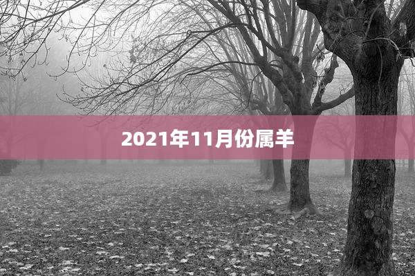 2021年11月份属羊
