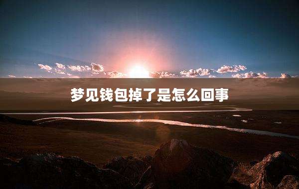 梦见钱包掉了是怎么回事