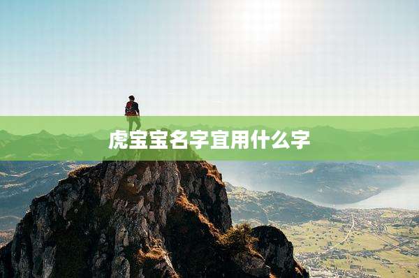 虎宝宝名字宜用什么字