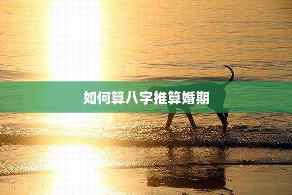 如何算八字推算婚期