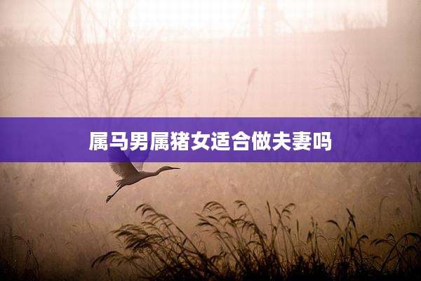 属马男属猪女适合做夫妻吗
