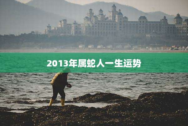 2013年属蛇人一生运势