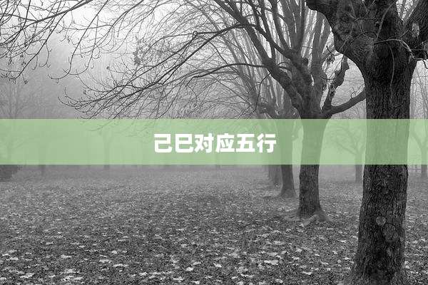 己巳对应五行