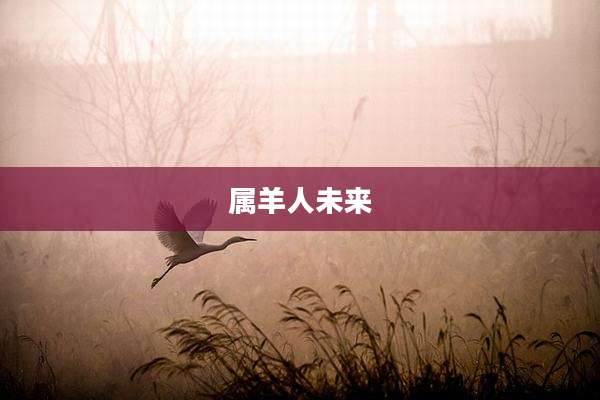 属羊人未来