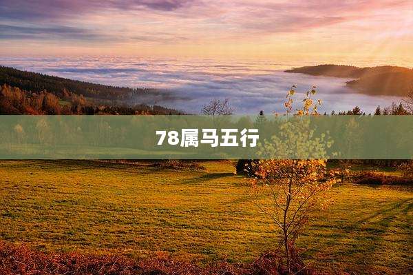 78属马五行
