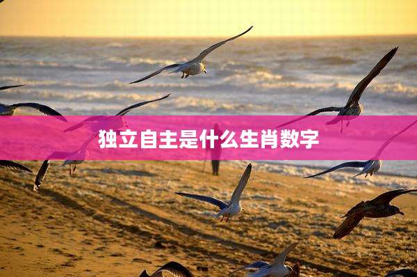 独立自主是什么生肖数字