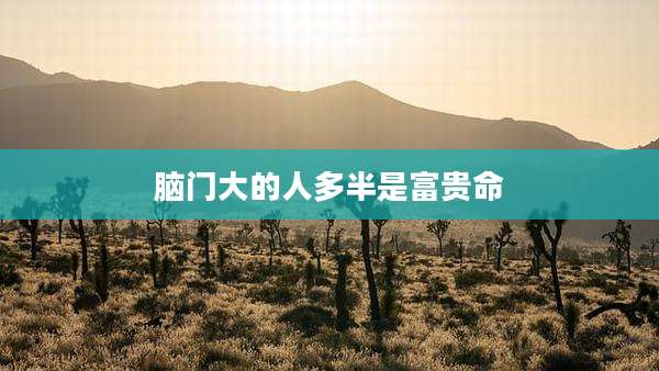 脑门大的人多半是富贵命