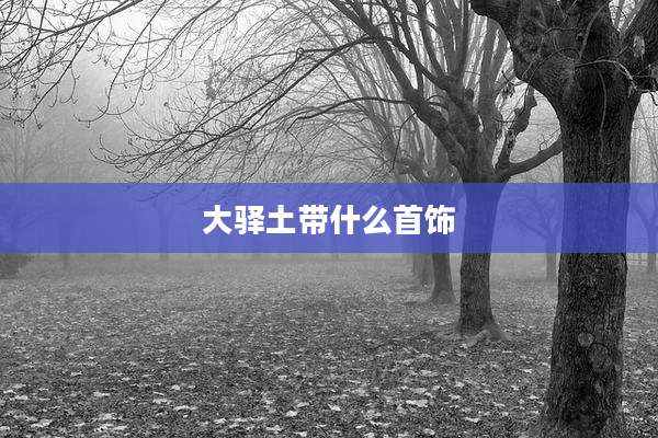 大驿土带什么首饰