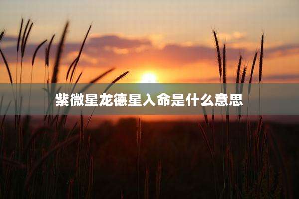 紫微星龙德星入命是什么意思