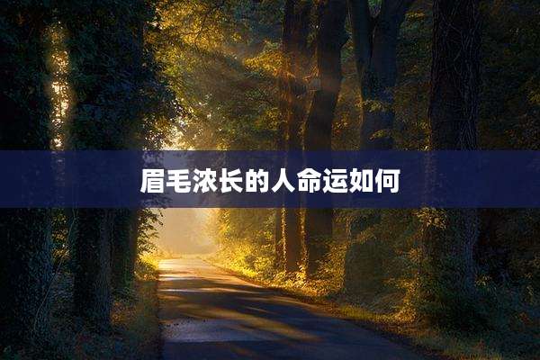 眉毛浓长的人命运如何