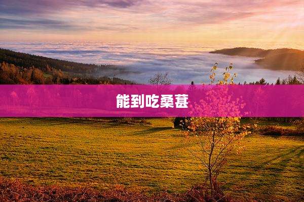 能到吃桑葚