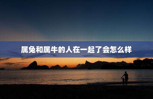 属兔和属牛的人在一起了会怎么样