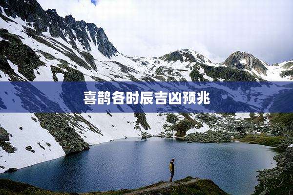 喜鹊各时辰吉凶预兆