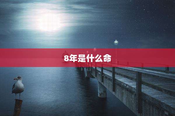 8年是什么命