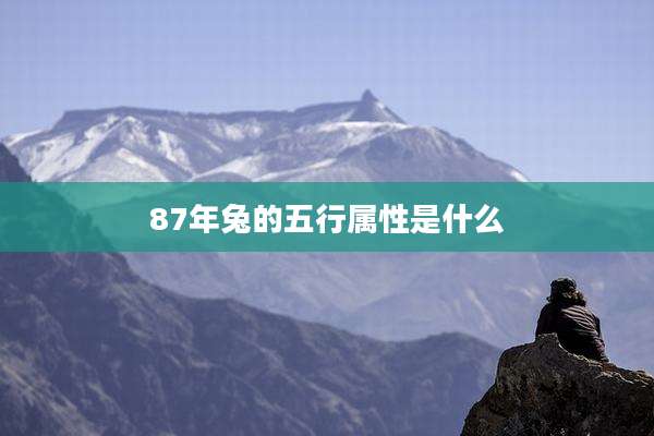 87年兔的五行属性是什么