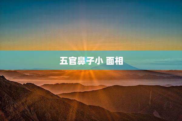 五官鼻子小 面相
