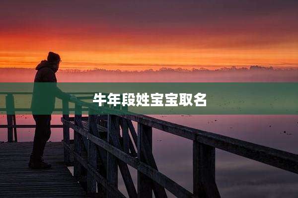 牛年段姓宝宝取名
