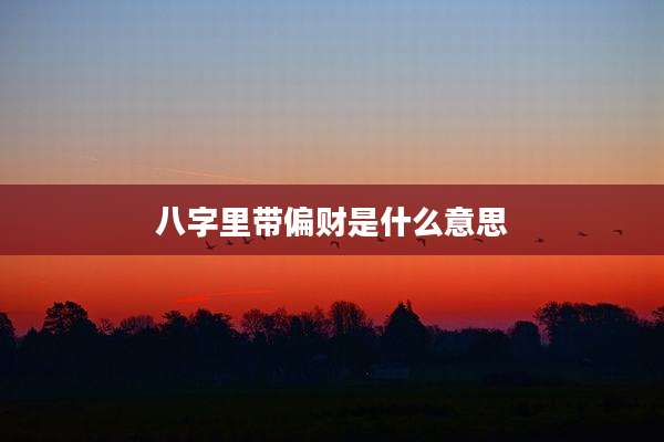 八字里带偏财是什么意思